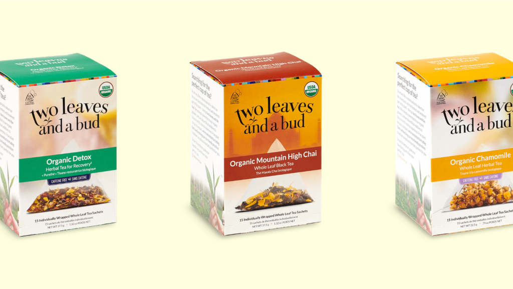 SustainableBrands_TwoLeaves_1024x1024
